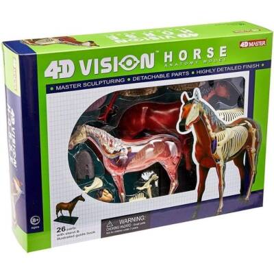 4D Master Vision Oyuncak At Anatomi Modeli 4DM-26101 - 1