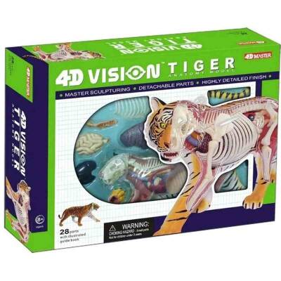 4D Master Vision Oyuncak Kaplan Anatomi Modeli - 1