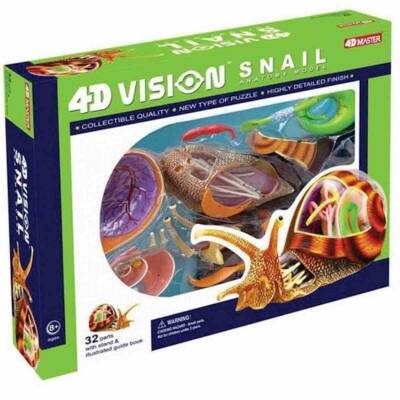 4D Master Vision Oyuncak Salyangoz Anatomi Modeli - 1