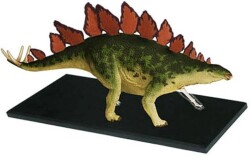 4D Master Vision Oyuncak Stegosaurus Anatomi Modeli 4Dm-25095 - 3