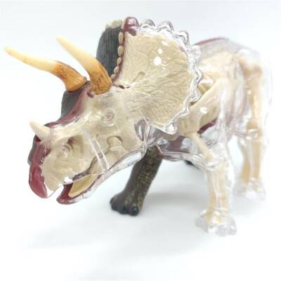 4D Master Vision Oyuncak Triceraptors Anatomi Modeli 4Dm-26093 - 2