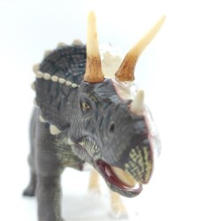 4D Master Vision Oyuncak Triceraptors Anatomi Modeli 4Dm-26093 - 4