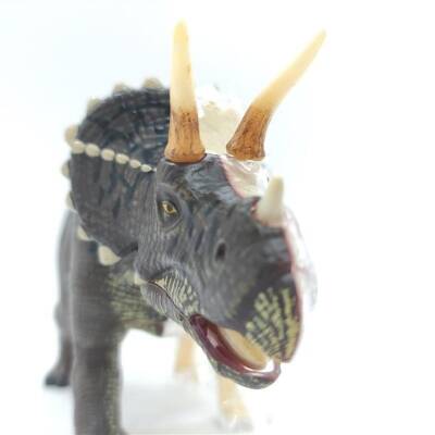 4D Master Vision Oyuncak Triceraptors Anatomi Modeli 4Dm-26093 - 4