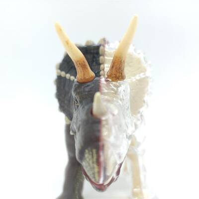 4D Master Vision Oyuncak Triceraptors Anatomi Modeli 4Dm-26093 - 5
