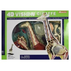 4D Master Vision Oyuncak Zürafa AnatomiModeli - 1