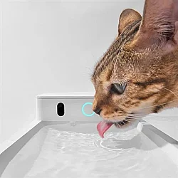 Airpet Catlink Aı Water Fountain-Wireless Cl Pure 3 Yapay Zeka Destekli Kedi ve Küçük Irk Köpekler için Kablosuz Otomatik Su Kabı 2,3lt-Wb-01 - 6