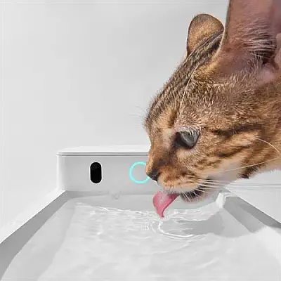 Catlink Aı Water Fountain-Wireless Cl Pure 3 Yapay Zeka Destekli Kedi ve Küçük Irk Köpekler için Kablosuz Otomatik Su Kabı 2,3lt-Wb-01 - 6
