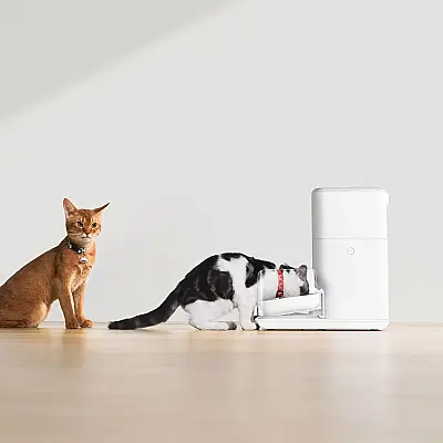 Catlink Automatic Feeder-Fresh2 Pro Cl-Fd-02 Otomatik Yemlik - 6