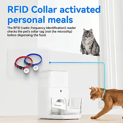 Catlink Automatic Feeder-Fresh2 Pro Cl-Fd-02 Otomatik Yemlik - 9
