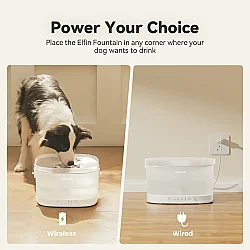 Cheerble Pet Fountain Elfin D1 Pro Cdy04 Şarjlı Köpek Su Pınarı - 2