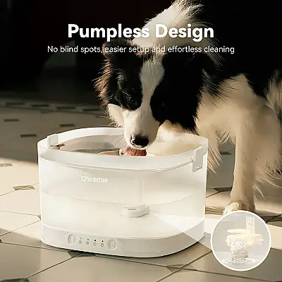 Cheerble Pet Fountain Elfin D1 Pro Cdy04 Şarjlı Köpek Su Pınarı - 5