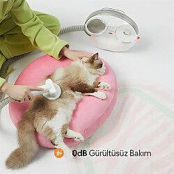 Airpet Pet Grooming Kit S1 Pro Kedi & Köpek Tıraş Makinesi - 2