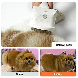 Airpet Pet Grooming Kit S1 Pro Kedi & Köpek Tıraş Makinesi - 3