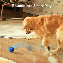 Airpet Wicked Ball Air Cwq01-Bl Akıllı İnteraktif Köpek Oyuncağı Mavi - 4