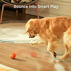 Airpet Wicked Ball Air Cwq01-O Akıllı İnteraktif Köpek Oyuncağı Turuncu - 4