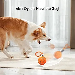 Airpet Wicked Ball Air Rope Cwq03-O Akıllı İnteraktif İpli Köpek Oyun Topu Turuncu - 6