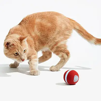 Airpet Wicked Ball M3 Cwq02 İnteraktif Şarjlı Kedi Oyun Topu Kırmızı - 2