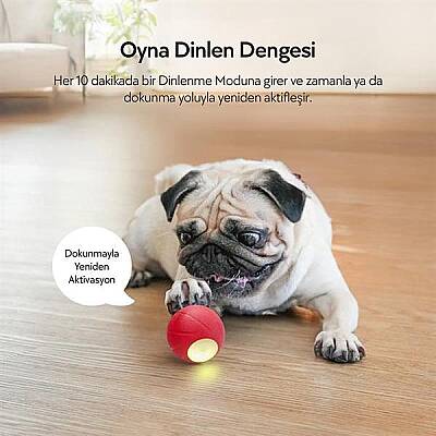 Airpet Wicked Ball Se C1221-R Şarjlı Akıllı İneraktif Köpek Oyun Topu Kırmızı Small - 2