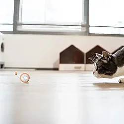 Airpet Wicked Mouse C0821-O Şarjlı Akıllı İneraktif Kedi Fare Oyuncağı, Turuncu - 3