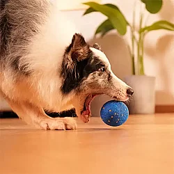 Airpet Wicked Rugby Cwq06-Bl Şarjlı Hareketli Köpek Oyun Topu Mavi - 2