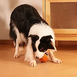 Airpet Wicked Rugby Cwq06-O Şarjlı Hareketli Köpek Oyun Topu Turuncu - 3