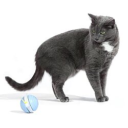 Airpet Wicked Snail Cwj02-Bl Mavi Şarjlı Akıllı İneraktif Kedi Salyangoz Oyuncağı - 2