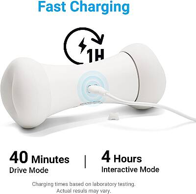 Airpet Wickedbone C1702 İnteraktif Kemik Köpek Oyuncağı - 2