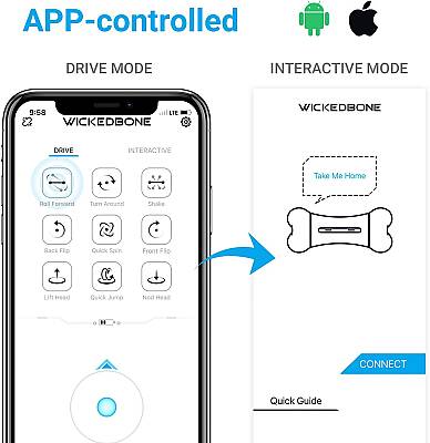 Airpet Wickedbone C1702 İnteraktif Kemik Köpek Oyuncağı - 6