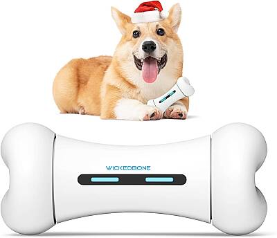 Airpet Wickedbone C1702 İnteraktif Kemik Köpek Oyuncağı - 4