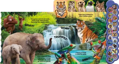 Animals - 2