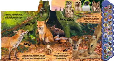 Animals - 3