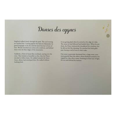 Auzou Swan Lake - Paper Theatre - 2