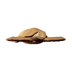 Cartonic 3D Puzzle - Turtle - Cartonic