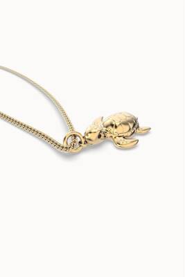 Chocli 18 Ayar Altın Kaplama Kaplumbağa Kolye Ch0303 - 2