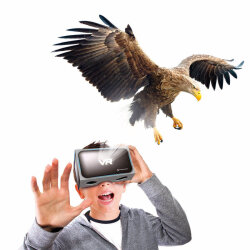 Clementoni Bilim ve Oyun Dünyadaki Hayvanların Tarihi64093 - 5