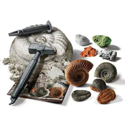 Clementoni Bilim ve Oyun Fosiller ve Mineraller Kazı Seti 64336 - 3