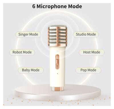 Divoom SongBird-HQ Çift Mikrofonlu Bluetooth Hoparlör Beyaz - 4