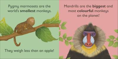 Dorling Kindersley M İs For Monkey - 2