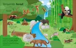 Dorling Kindersley My Very Important Lift-the-Flap Book: Animals - 3