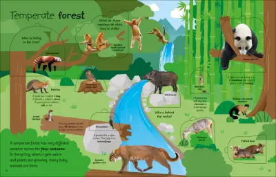 Dorling Kindersley My Very Important Lift-the-Flap Book: Animals - 3