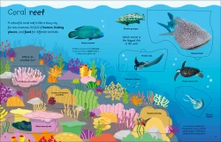 Dorling Kindersley My Very Important Lift-the-Flap Book: Animals - 2
