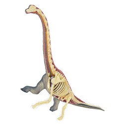 4D Master Vision Toy Brachiosaurus Anatomy Model 4Dm-26094 - 2
