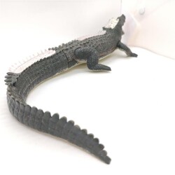 4D Master Vision Toy Crocodile Anatomy Model - 5