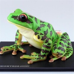 4D Master Vision Toy Frog Anatomy Model - 2