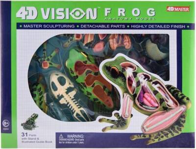 4D Master Vision Toy Frog Anatomy Model - 1