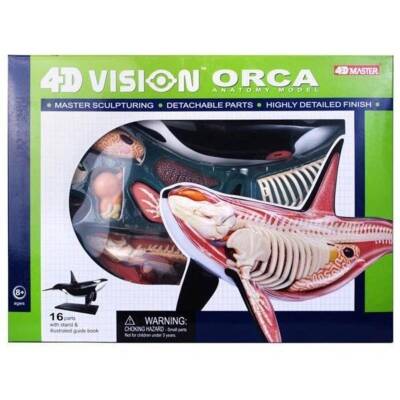 4D Master Vision Toy Killer Whale Anatomy Model 4Dm-26099 - 1