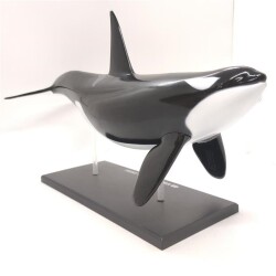 4D Master Vision Toy Killer Whale Anatomy Model 4Dm-26099 - 3