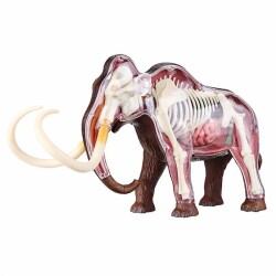 4D Master Vision Toy Mammoth Anatomy Model 4Dm-26110 - 2