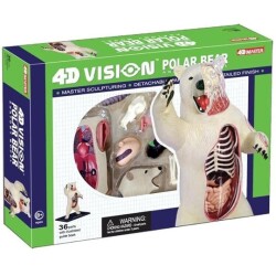 4D Master Vision Toy Polar Bear Anatomy Model - 1