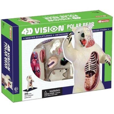 4D Master Vision Toy Polar Bear Anatomy Model - 1
